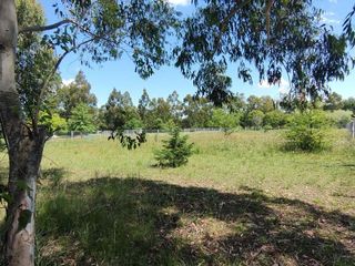 Foto 2 de Oportunidad lote en venta Arturo Seguí, La Plata