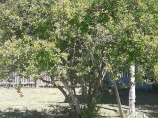 Foto 9 de HERMOSO QUINCHO DE 6 M X 12 M CON PISCINA