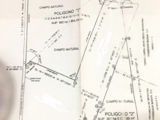 Foto 2 de oportunidad! CAMPO DE 2000 HECTÃREAS EN SAN RAFAEL MENDOZA