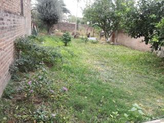 Foto 12 de VENTA DE CASA - CAMPO LARGO