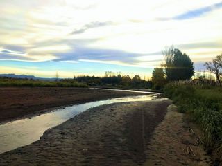 Foto 21 de CASA CON TERRENO A LA ORILLA DEL RIO DIAMANTE