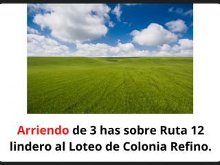 Arriendo en loteo Colonia Reffino