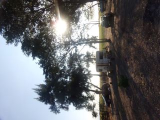 Foto 63 de SE VENDE CAMPO. LOCALIDAD DE NAPENAY