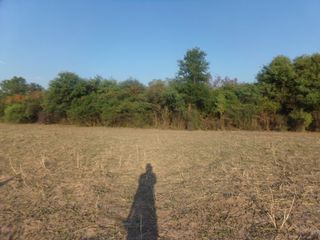 Foto 46 de SE VENDE CAMPO. LOCALIDAD DE NAPENAY