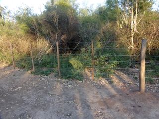 Foto 2 de SE VENDE CAMPO. LOCALIDAD DE NAPENAY