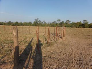 Foto 52 de SE VENDE CAMPO. LOCALIDAD DE NAPENAY