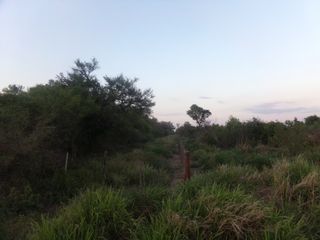 Foto 30 de SE VENDE CAMPO. LOCALIDAD DE NAPENAY