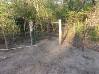 Foto 37 de SE VENDE CAMPO. LOCALIDAD DE NAPENAY