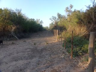 Foto 12 de SE VENDE CAMPO. LOCALIDAD DE NAPENAY