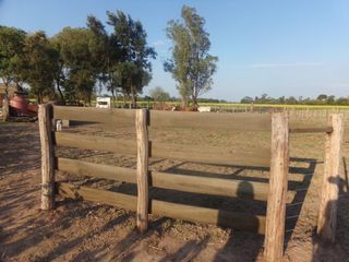 Foto 61 de SE VENDE CAMPO. LOCALIDAD DE NAPENAY