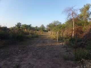 Foto 14 de SE VENDE CAMPO. LOCALIDAD DE NAPENAY
