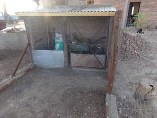 Foto 64 de SE VENDE CAMPO. LOCALIDAD DE NAPENAY