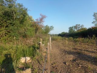 Foto 42 de SE VENDE CAMPO. LOCALIDAD DE NAPENAY