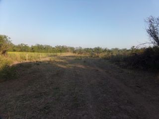 Foto 41 de SE VENDE CAMPO. LOCALIDAD DE NAPENAY