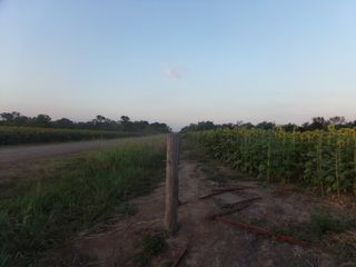 Foto 19 de SE VENDE CAMPO. LOCALIDAD DE NAPENAY