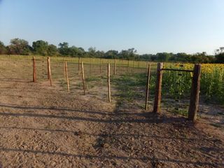 Foto 53 de SE VENDE CAMPO. LOCALIDAD DE NAPENAY
