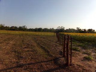 Foto 39 de SE VENDE CAMPO. LOCALIDAD DE NAPENAY