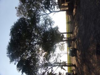 Foto 1 de SE VENDE CAMPO. LOCALIDAD DE NAPENAY