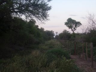 Foto 21 de SE VENDE CAMPO. LOCALIDAD DE NAPENAY