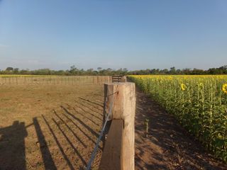 Foto 59 de SE VENDE CAMPO. LOCALIDAD DE NAPENAY