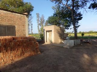 Foto 67 de SE VENDE CAMPO. LOCALIDAD DE NAPENAY