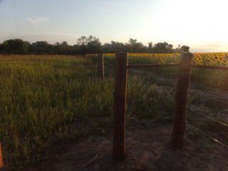 Foto 6 de SE VENDE CAMPO. LOCALIDAD DE NAPENAY
