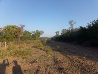 Foto 44 de SE VENDE CAMPO. LOCALIDAD DE NAPENAY
