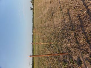 Foto 40 de SE VENDE CAMPO. LOCALIDAD DE NAPENAY