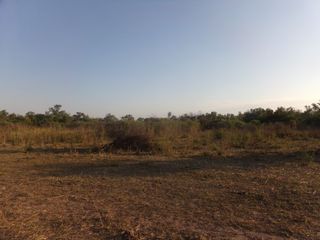 Foto 48 de SE VENDE CAMPO. LOCALIDAD DE NAPENAY