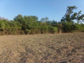 Foto 45 de SE VENDE CAMPO. LOCALIDAD DE NAPENAY