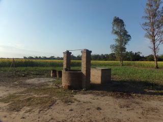 Foto 73 de SE VENDE CAMPO. LOCALIDAD DE NAPENAY