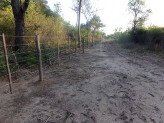 Foto 17 de SE VENDE CAMPO. LOCALIDAD DE NAPENAY