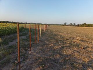 Foto 5 de SE VENDE CAMPO. LOCALIDAD DE NAPENAY