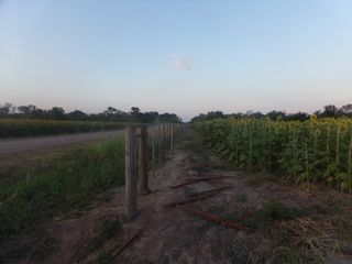 Foto 10 de SE VENDE CAMPO. LOCALIDAD DE NAPENAY