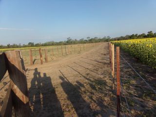 Foto 57 de SE VENDE CAMPO. LOCALIDAD DE NAPENAY