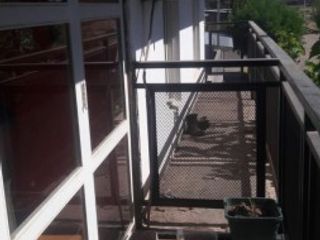 Foto 4 de SE VENDE AMPLIA CASA DE DOS PLANTAS CON SALON COMERCIAL