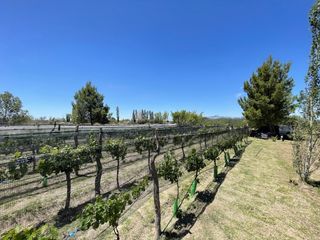 Foto 16 de CASA QUINTA DE DOS PLANTAS CON TERRENO DE 5000mÂ²