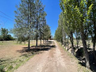 Foto 18 de CASA QUINTA DE DOS PLANTAS CON TERRENO DE 5000mÂ²