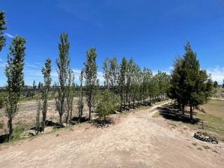 Foto 13 de CASA QUINTA DE DOS PLANTAS CON TERRENO DE 5000mÂ²