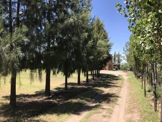 Foto 19 de CASA QUINTA DE DOS PLANTAS CON TERRENO DE 5000mÂ²