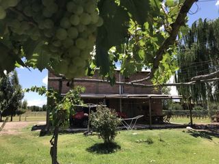 Foto 21 de CASA QUINTA DE DOS PLANTAS CON TERRENO DE 5000mÂ²