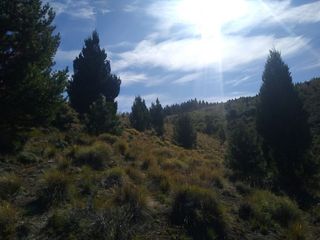 Foto 5 de Fraccion con costa de Rio Limay