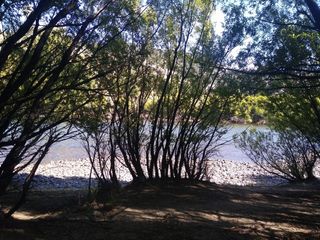 Foto 7 de Fraccion con costa de Rio Limay