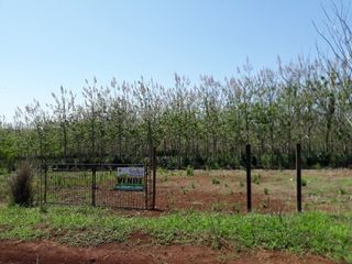 Foto 1 de VENDE 2 LOTES KM 4