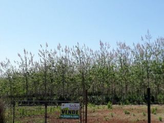Foto 3 de VENDE 2 LOTES KM 4