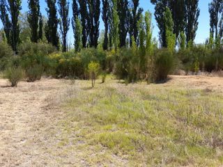 Foto 2 de Vendo una hectarea con vista a la montana ideal para cabanas