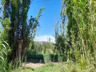 Foto 3 de Vendo una hectarea con vista a la montana ideal para cabanas