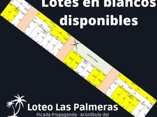 Foto 3 de Loteo Las Palmeras a metros de Ruta Nac. 14