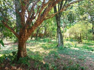 Foto 2 de VENDE LOTE CON CASA