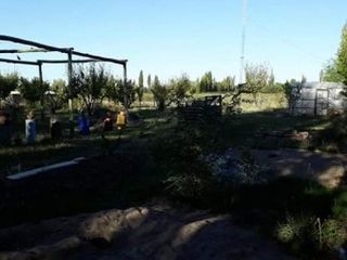 Foto 10 de Vendo hermosa Finca zona Rama Caida de  5 hectÃ¡reas,  en producciÃ³n uva bonarda y mezcla  con tela antigranizo. Vista MontaÃ±a